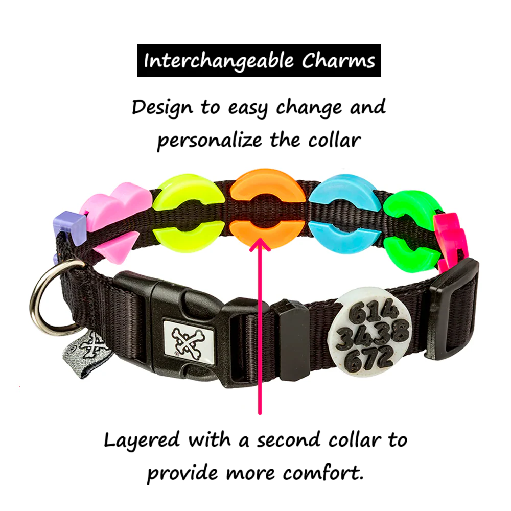 The Charmed Collar 🐾