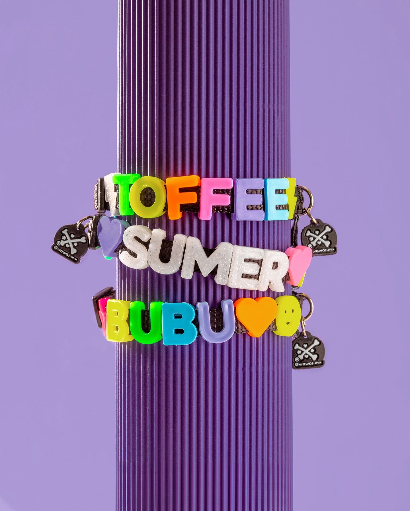 The Charmed Collar 🐾