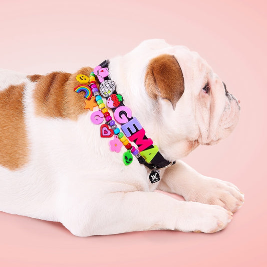 The Charmed Collar 🐾
