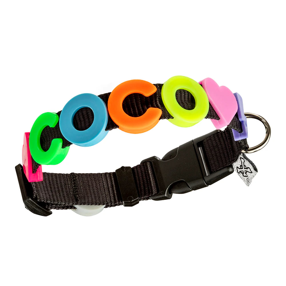 The Charmed Collar 🐾