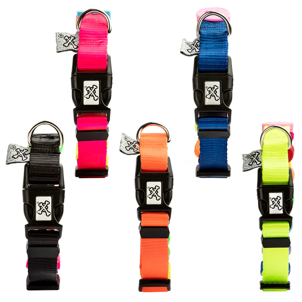 The Charmed Collar 🐾